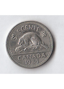 1985 - CANADA 5 cents Nickel Castoro Circolato in buona condizione